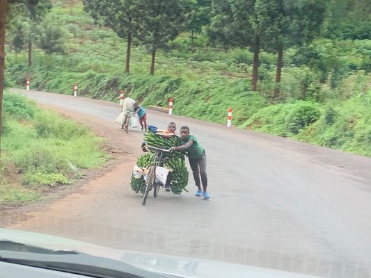 ITT Rwanda marché 
